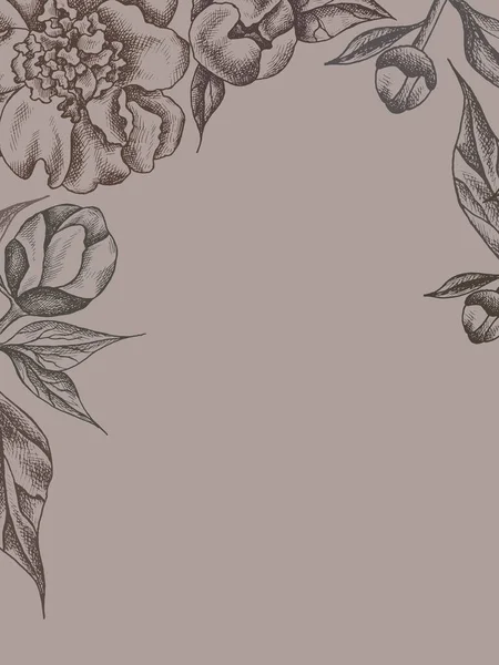 Cadre Floral Vectoriel Avec Pivoines Feuilles Graphiques Linéaires Croquis Dessin — Image vectorielle