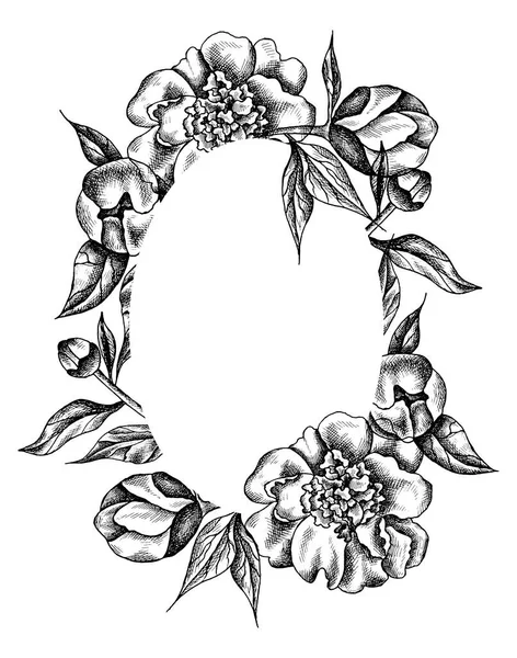 牡丹と葉を持つベクトル花のフレーム 線形グラフィックス スケッチ インク図面 彫刻の模倣 手描きの植物 白地に線画 レトロでヴィンテージの花 — ストックベクタ