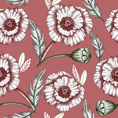 Bahar gelinciği çiçekleriyle çizilmiş suluboya el resmi. Yaz ya da bahar geçmişi. Düğün davetiyesi, kartpostal. Romantik çiçek arkaplanı. Tekstil. Klasik, Retro.