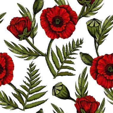 Bahar gelinciği çiçekleriyle çizilmiş suluboya el resmi. Yaz ya da bahar geçmişi. Düğün davetiyesi, kartpostal. Romantik çiçek arkaplanı. Tekstil. Klasik, Retro.