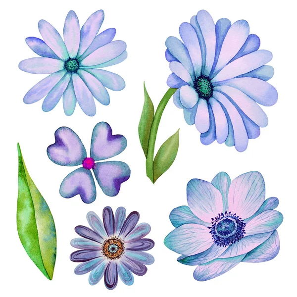 Illustration Watercolor Hand Drawn Set Blue Wildflowers Green Leaves Violet — Stock Photo, Image