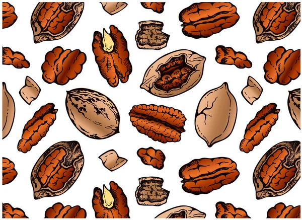 Skica Ručně Kreslené Vzor Hnědé Ořechy Skořápce Izolované Bílém Pozadí — Stockový vektor