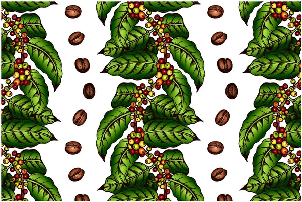 Coffee Plant Patternストックベクター ロイヤリティフリーcoffee Plant Patternイラスト ページ 8 Depositphotos Coffee Plant Patternストックベクター ロイヤリティフリーcoffee Plant Patternイラスト ページ 8 Depositphotos