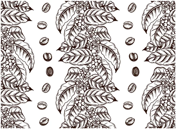 배경에 가지에 잎사귀가 볶았고 생커피 원두가 나무의 패턴을 그렸습니다 빈티지 — 스톡 벡터