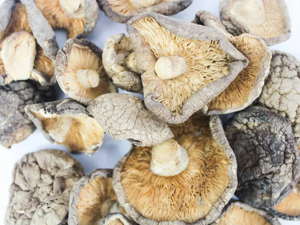 Shitake Mantarı 'nı kapat