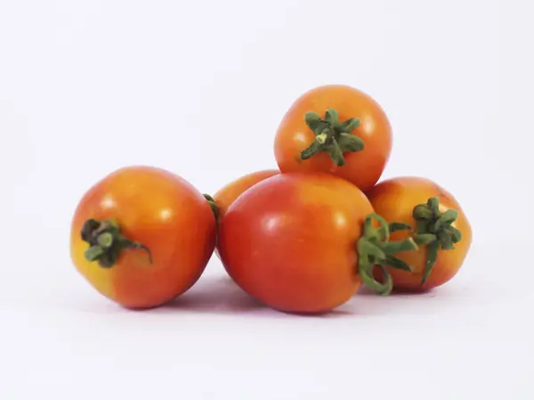 토마토를 배경으로 덮는다 — 스톡 사진