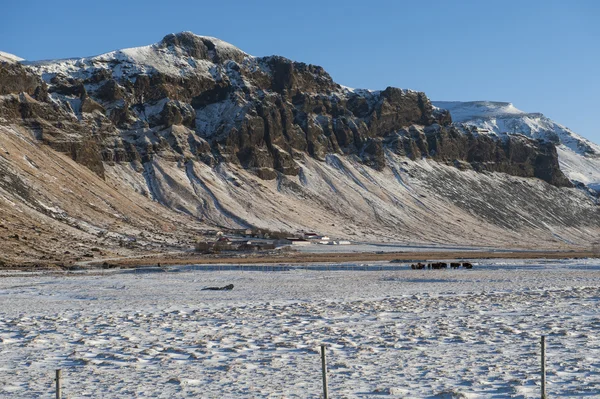 Islândia Paisagem: Inverno Islândia Lanscape com fazenda — Fotografia de Stock