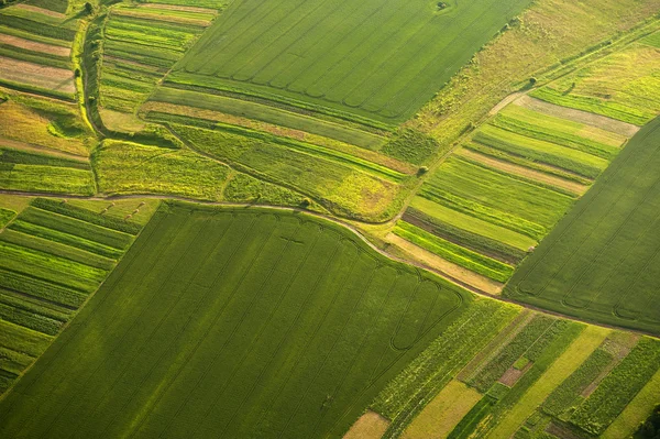 Aerial view on green and yellow parts of fields and countryside — Stock Photo, Image