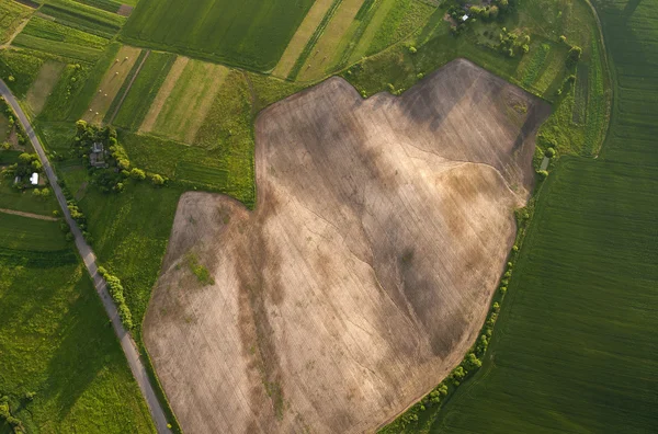 Luchtfoto op groene en gele delen van velden en platteland — Stockfoto