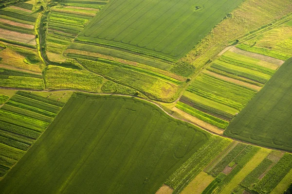 Вид з повітря на зелені та жовті ділянки полів та сільській місцевості — стокове фото