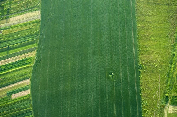 Luchtfoto op groene en gele delen van velden en platteland Stockafbeelding