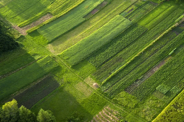 Alanlar ve kırsal yeşil ve sarı bölümlerinde havadan görünümü Telifsiz Stok Fotoğraflar