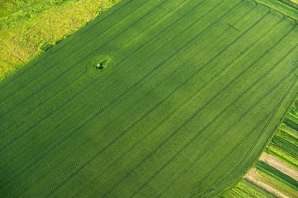 Luchtfoto op groene en gele delen van velden en platteland Rechtenvrije Stockfoto's