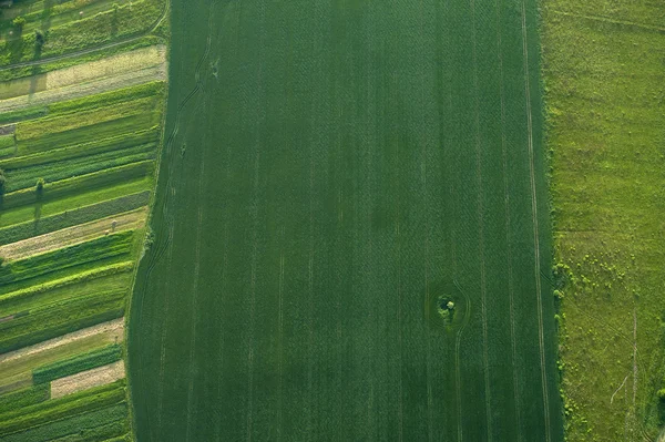 Вид з повітря на зелені та жовті ділянки полів та сільській місцевості — стокове фото