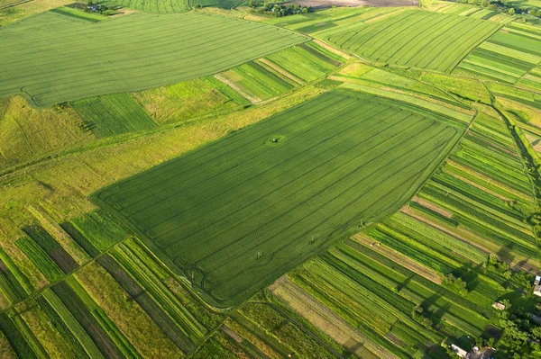 Luchtfoto op groene en gele delen van velden en platteland — Stockfoto