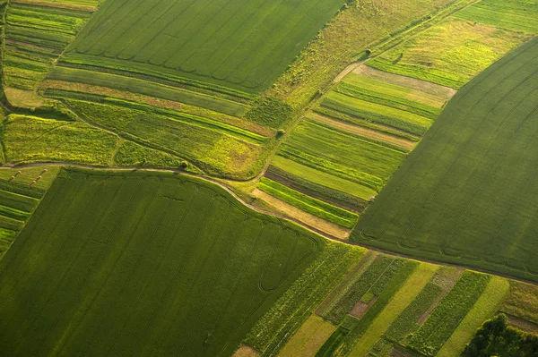 Luchtfoto op groene en gele delen van velden en platteland — Stockfoto