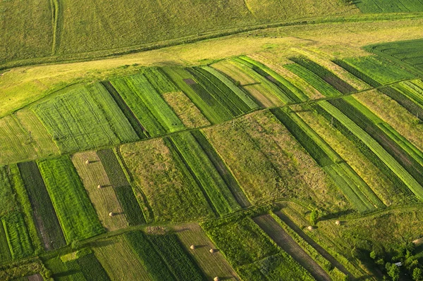 Luchtfoto op groene en gele delen van velden en platteland — Stockfoto