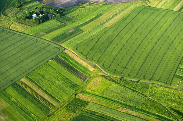 Alanlar ve kırsal yeşil ve sarı bölümlerinde havadan görünümü — Stok fotoğraf