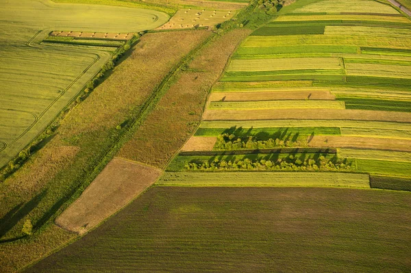 Luchtfoto op groene en gele delen van velden en platteland — Stockfoto