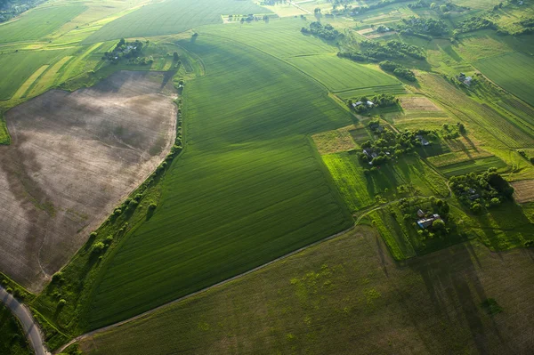 Aerial view on green and yellow parts of fields and countryside — Stock Photo, Image