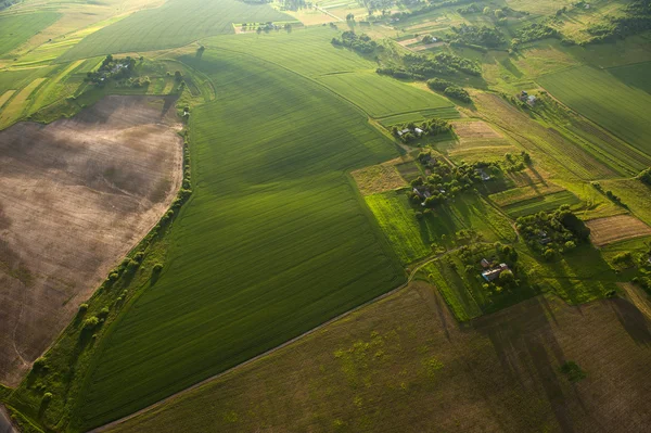 Luchtfoto op groene en gele delen van velden en platteland — Stockfoto