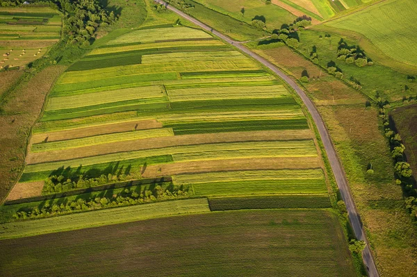 Vista aérea de zonas verdes y amarillas de campos y campos — Foto de Stock