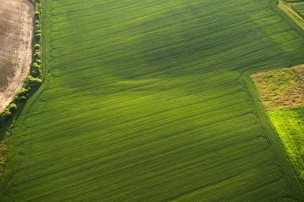 Alanlar ve kırsal yeşil ve sarı bölümlerinde havadan görünümü Stok Fotoğraf