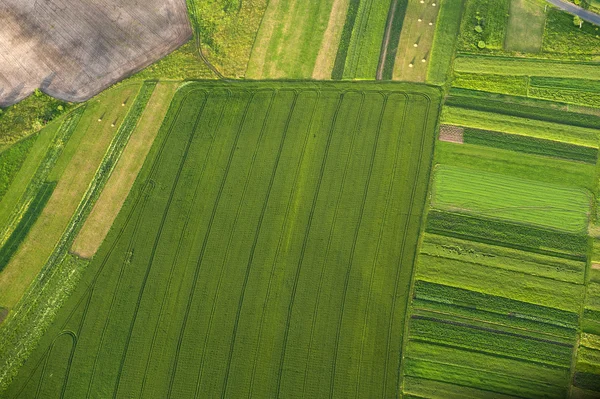 Letecký pohled na zelené a žluté části polí a krajina — Stock fotografie