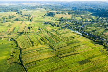Yukarıdaki alanları göster