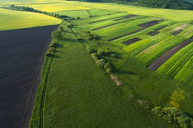 Sarı alanda havadan görünümü