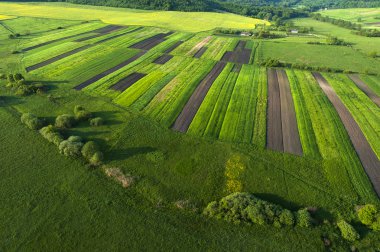 Sarı alanda havadan görünümü