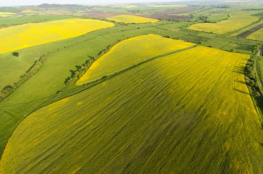 Sarı alanda havadan görünümü