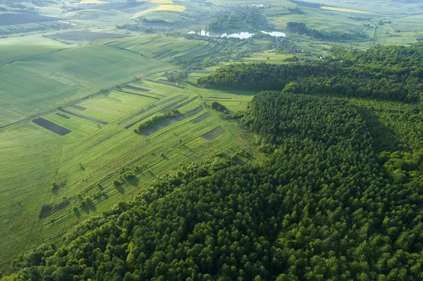 Vue aérienne incroyable de la forêt printanière — Photo