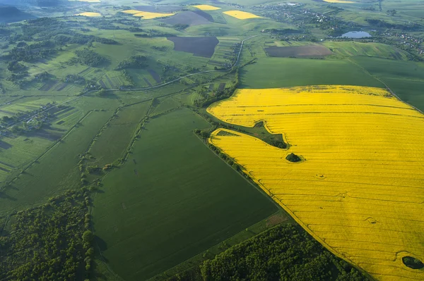 Sarı alanda havadan görünümü — Stok fotoğraf