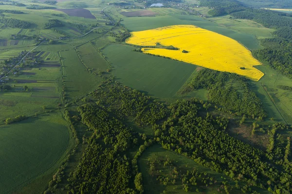 Luchtfoto uitzicht op gele velden — Stockfoto