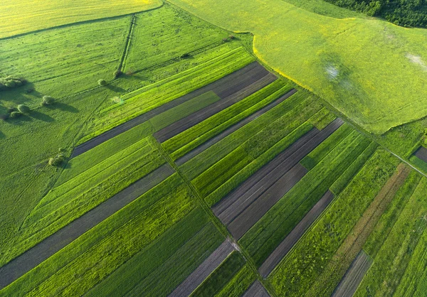 Luchtfoto uitzicht op gele velden — Stockfoto