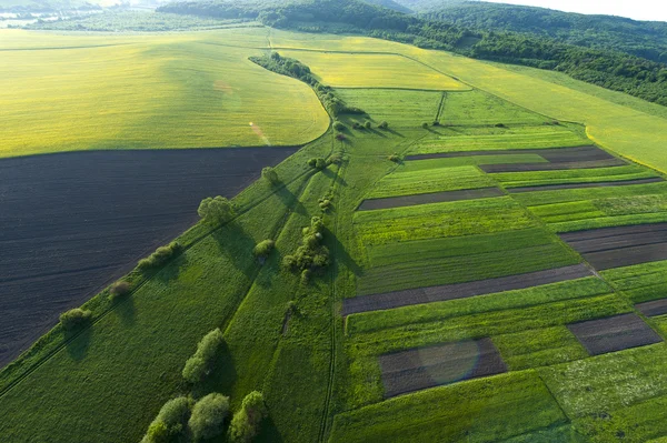 Luchtfoto uitzicht op gele velden — Stockfoto