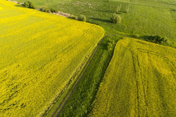 Luchtfoto uitzicht op gele velden — Stockfoto