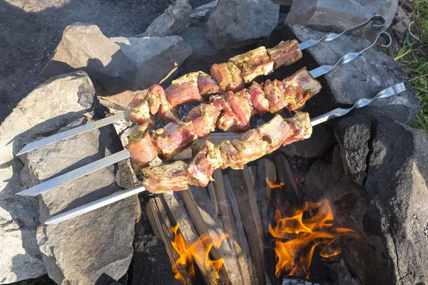 Roasted meat on bonfire — Stock Photo, Image