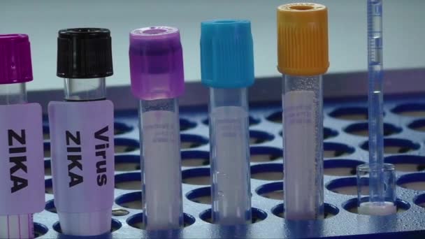 Imagens do conceito do vírus Zika com tubo de teste — Vídeo de Stock