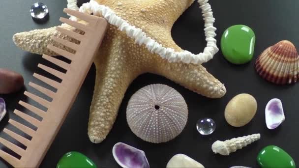 Background with different shells and sea five-pointed stars — Stock Video