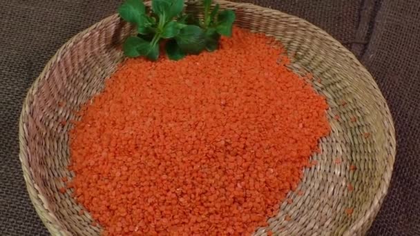 Bowl with orange lentil on canvas — Stock Video