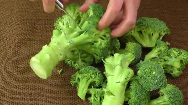 Женские руки режут брокколи на кухне — стоковое видео