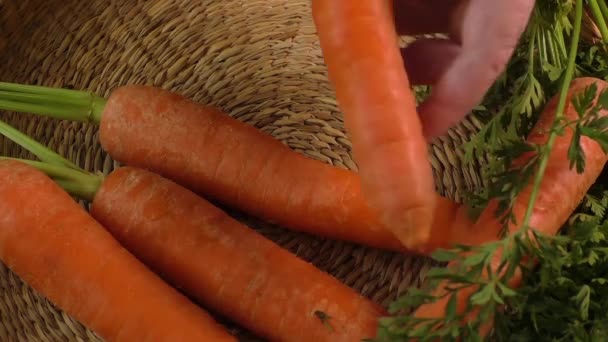 Zanahorias frescas de jardín y zanahorias frescas peladas — Vídeo de stock