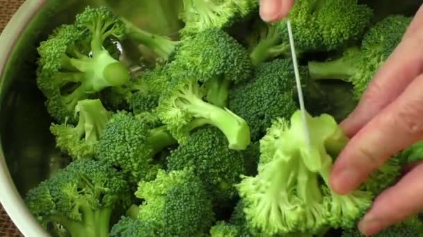 Mãos femininas cortando brócolis na cozinha — Vídeo de Stock