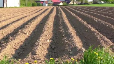 Patates dikimi için sürülmüş gozlerime oldu tarım alanı