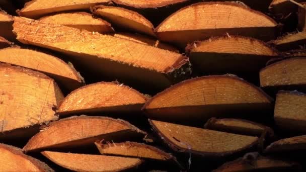 Montón de troncos de madera listo para el invierno — Vídeos de Stock