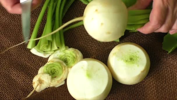 Sabroso fresco crudo blanco redondo rábano japonés con tallos verdes y hojas — Vídeos de Stock