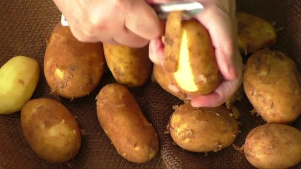 Aardappelen en het proces van reiniging — Stockvideo