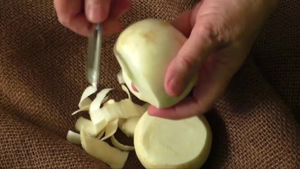 Sabroso fresco crudo blanco redondo rábano japonés — Vídeo de stock